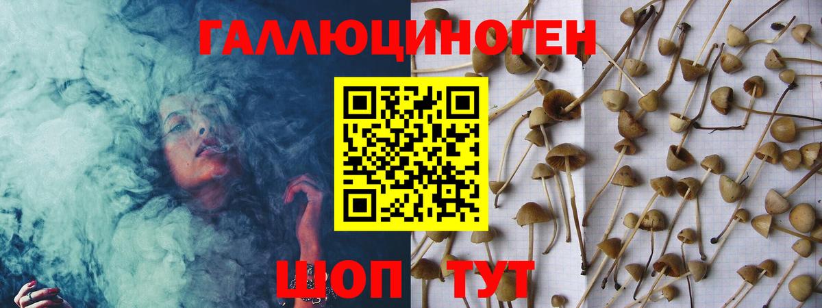 Псилоцибиновые грибы GOLDEN TEACHER Богородск